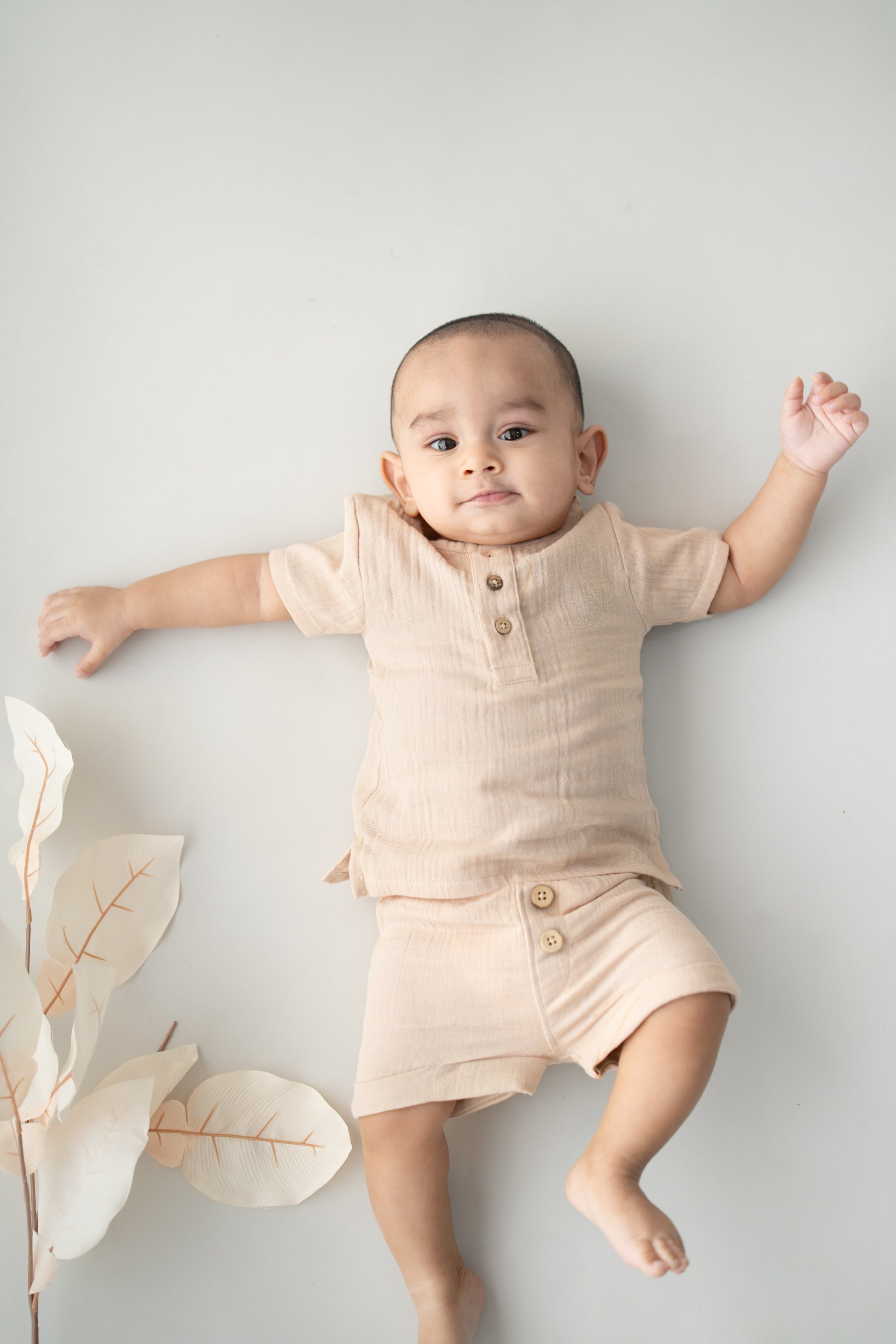 Sandstone Safari Set